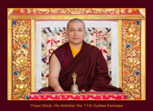 Portrait officiel du Karmapa, 2017